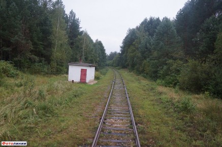 Место бывшего ОП-133 линии Ворожба-Хутор Михайловский